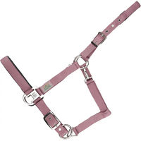 Produktbild von USG Everyday Pferd Halfter aus Nylon in Rosa Größe Full
