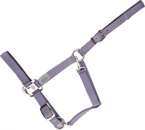 Produktbild von USG Everyday Pferdehalfter für Ponys aus Nylon in Lila