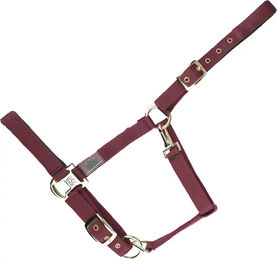 Produktbild von USG Everyday Pferdehalfter für Ponys aus Nylon in Rot