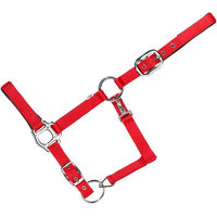 Produktbild von USG Everyday Pferdehalfter für Ponys aus Nylon in Rot