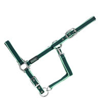Produktbild von USG Halfter Classic für Vollblut aus Nylon in Grün