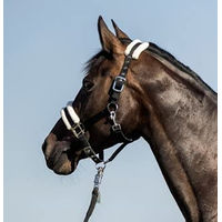 Produktbild von USG Halfter einfarbig mit Kunstfellunterlegung für Warmblut in Schwarz