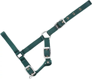 Produktbild von USG Halfter für Fohlen aus Nylon in Grün Bunt