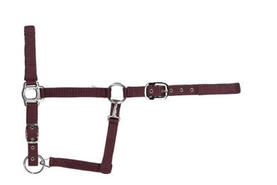 Produktbild von USG Halfter für Warmblut aus Nylon in Burgundrot