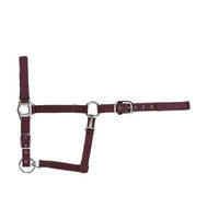 Produktbild von USG Halfter für Warmblut aus Nylon in Burgundrot