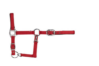 Produktbild von USG Halfter und Stricke aus Nylon für Vollblut in Orange Blau oder Rot