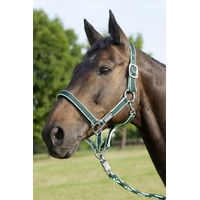 Produktbild von USG Halfter und Stricke für Warmblut in Orange Blau oder Grün