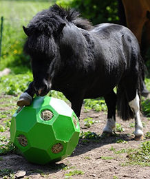 USG Happy Hay Play Intelligenzspielzeug aus Heu mit großen Löchern 70 mm Grün - 1 Stk. – Bild 1 von 2