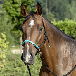 USG Knotenhalfterset mit Zügeln aus Seil für Ponys in Schwarz oder Türkis - 1 Stk. – Bild 1 von 4