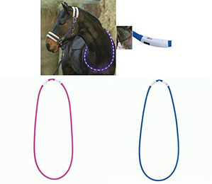 USG LED-Leuchthalsring für Pferde in Grün oder Bunt One Size – Bild 1 von 2