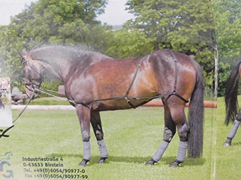 USG Longier- und Trainingssystem für Warmblut in Schwarz – Bild 1 von 3