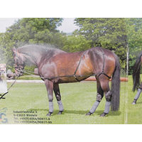 Produktbild von USG Longier- und Trainingssystem für Warmblut in Schwarz