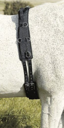 Produktbild von USG Longiergurt aus Neopren mit Handschlaufen für Ponys in Schwarz