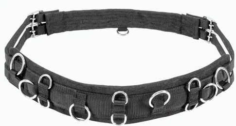 USG Mini-Shetty Longiergurt für Ponys in Schwarz – Bild 1 von 5