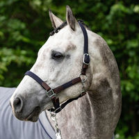 Produktbild von USG Ponylove Halfter für Ponys aus geflochtenem Material