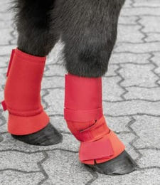 USG Shetty Fesselkopfgamaschen mit Klett in Rot – Bild 1 von 1