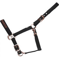 Produktbild von USG Sports Pferdehalfter für Ponys aus Neopren in Schwarz