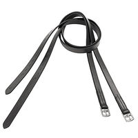 Produktbild von USG Steigbügelriemen Basic aus Leder in Schwarz