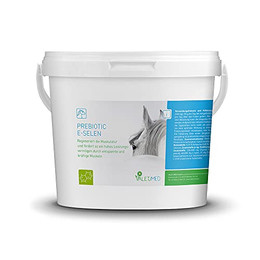 Produktbild von Valetumed PREBIOTIC E-SELEN Ergänzungsfutter für Pferde - 3000 g