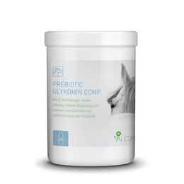 Produktbild von Valetumed Prebiotic Glykomin Comp. - 750 g