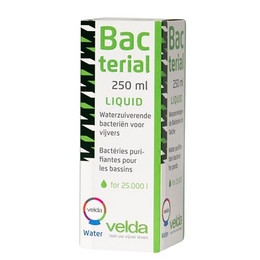 Produktbild von Velda Bacterial Liquid - 500 ml