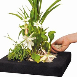 Produktbild von Velda Floating Plant Island eckig 35 cm