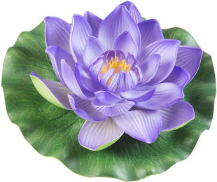 Produktbild von Velda Lotus Foam Purple 17cm