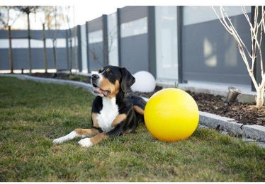 Produktbild von Verschlussstopfen für 82274 Ako