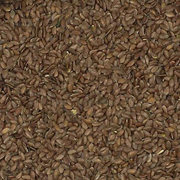 Produktbild von Versele Leinsamen braun - 25 kg
