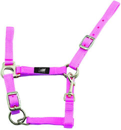 Produktbild von Verstellbares Halfter für Fohlen mit Karabinerhaken Supreme