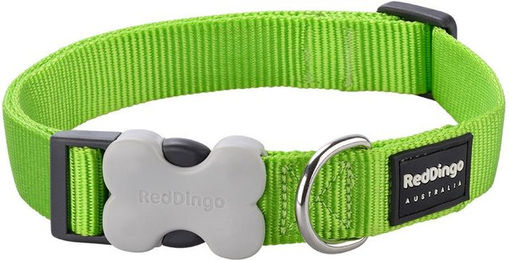 Produktbild von Verstellbares Hundehalsband Red Dingo