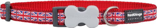 Verstellbares Hundehalsband Red Dingo – Bild 1 von 2