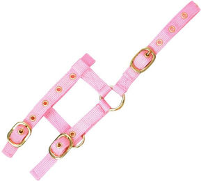 Verstellbares Mini Halfter Rosa - 1 Stk. – Bild 1 von 2