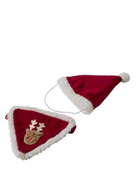 vertbaudet Tier-Halsband Hundehalstuch mit Weihnachtsmütze FAMILY – Bild 1 von 4