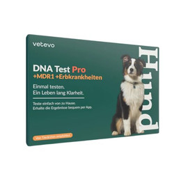 Produktbild von vetevo Hund DNA Test Rassenbestimmung & Erbkrankheiten