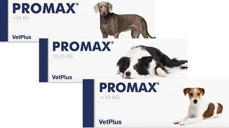 Vetplus Promax - Small Breed - 9 ml – Bild 1 von 5