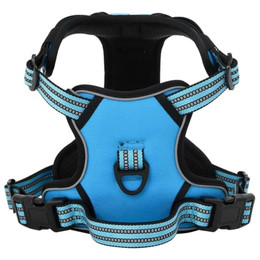 Produktbild von vidaXL Hundegeschirr Brustgeschirr Reflektierend Verstellbar Blau L