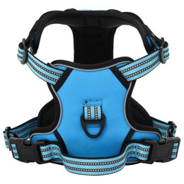 Produktbild von vidaXL Hundegeschirr Brustgeschirr Reflektierend Verstellbar Blau S