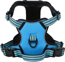 Produktbild von vidaXL Hundegeschirr mit Leine und Halsband, verstellbar, reflektierend, Blau S