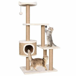 Produktbild von vidaXL Katzen-Kratzbaum 123 cm Seegras