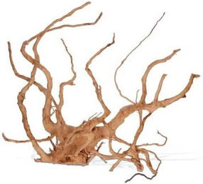 Produktbild von Vigne rare rot L plus Aquavie