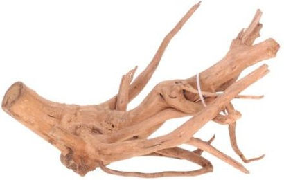 Produktbild von Vigne rare rot M plus Aquavie