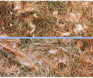 Produktbild von Vogelnest Zubehör Nobby Pet Nistmaterial Pelo Animale