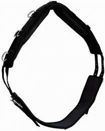 Produktbild von Voltigiergurt für Pferde aus Neopren und Nylon Tattini