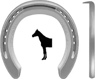 Produktbild von Vorderhuf mit 1 Stift Kerckhaert Century Support