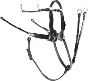 Vorderzeug für Pferde 5-Punkt elastisch Premiere – Bild 1 von 2