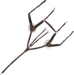 Produktbild von Vorderzeug für Pferde 5 Punkte Canter