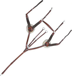 Produktbild von Vorderzeug für Pferde 5 Punkte Lexington