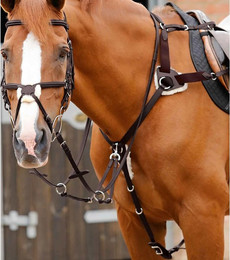 Produktbild von Vorderzeug für Pferde 5 Punkte Premier Equine Invorio