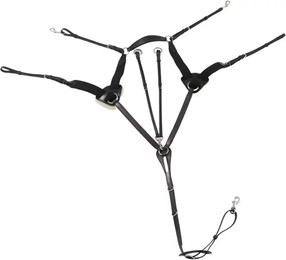 Produktbild von Vorderzeug für Pferde 5 Punkte Premier Equine Invorio